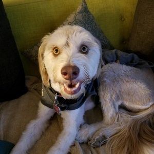 Meet your Posher, Deborah